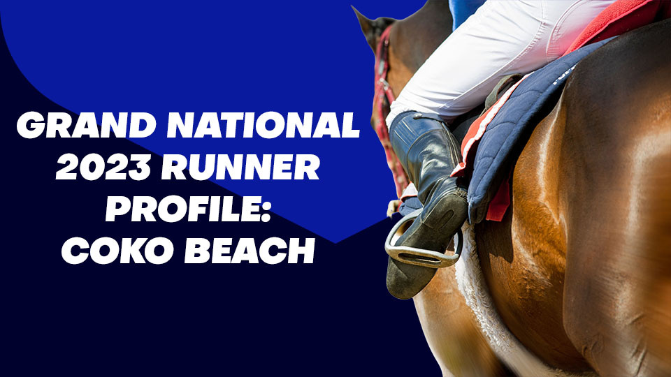 Coko Beach Grand National Odds & Betting Profile