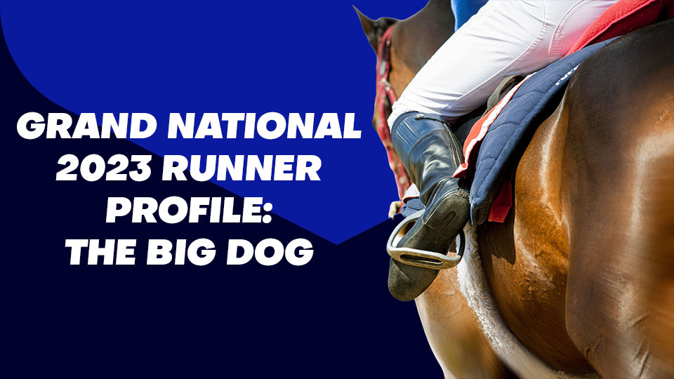 Grand National 2023 The Big Dog Profile