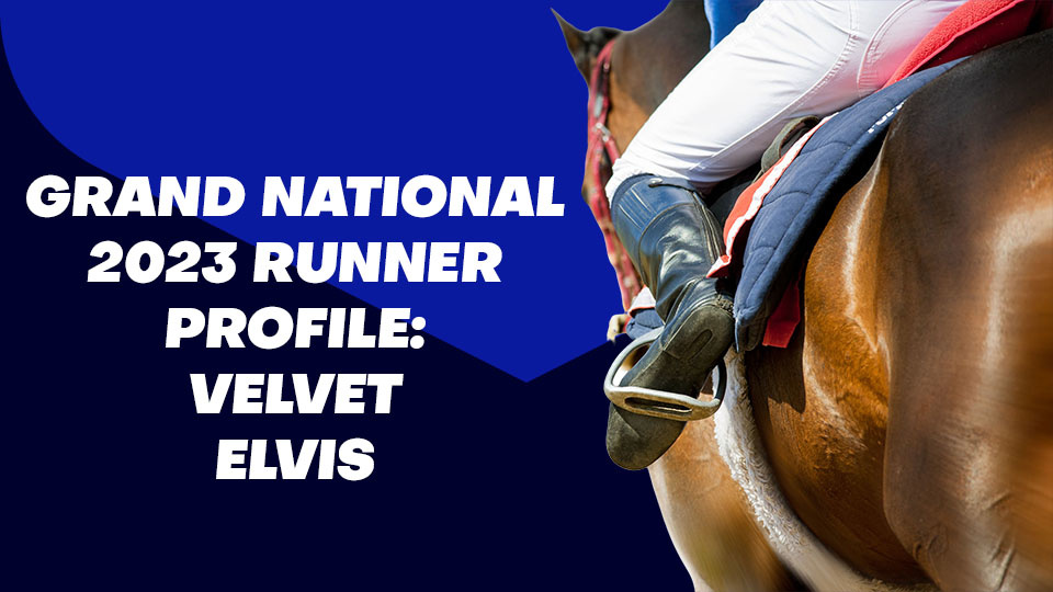 Velvet Elvis Grand National Odds & Betting Profile