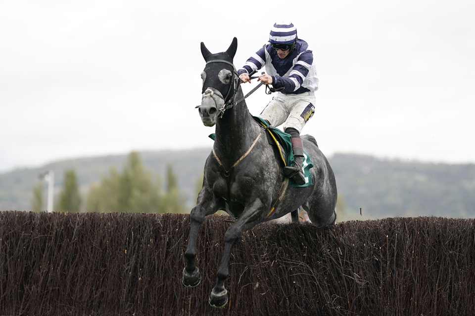 There's three days of top-class racing at Cheltenham this weekend.