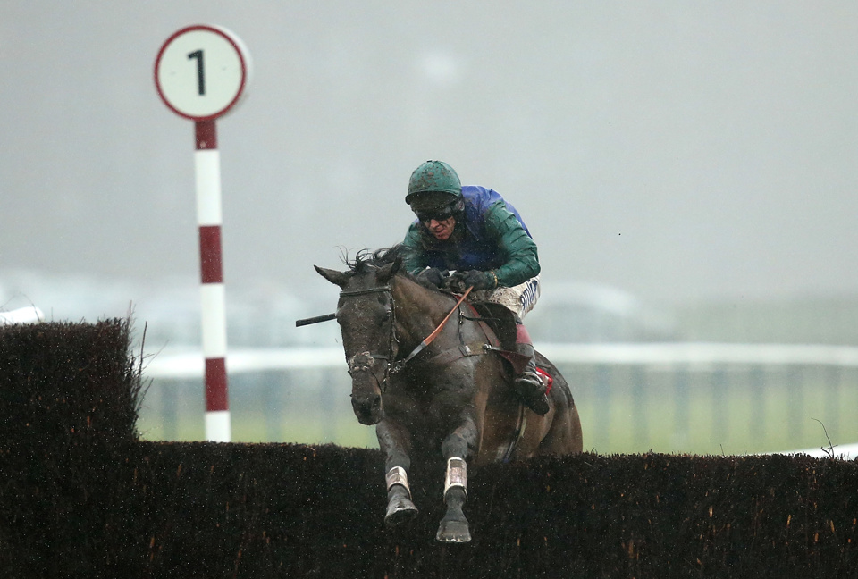 Bishops Road won the 2016 Grand National Trial at Haydock Park.