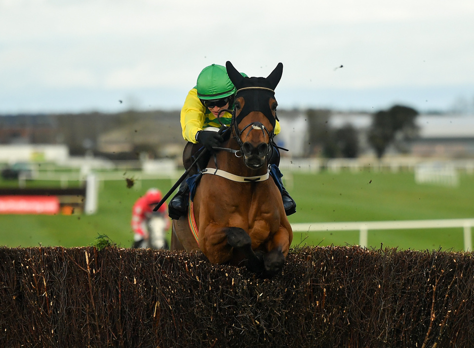 Cash Back is unbeaten over fences for Willie Mullins.