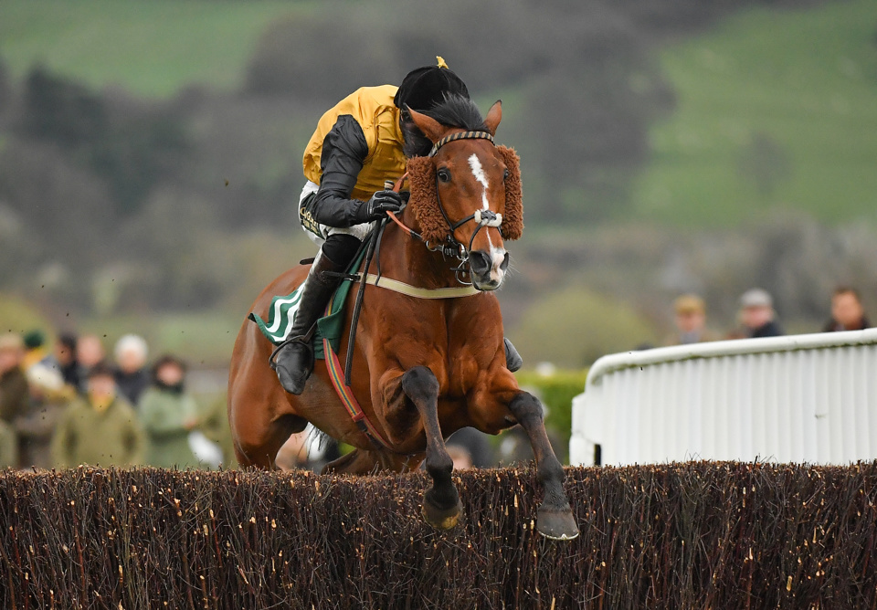 Croco Bay was a monster 66/1 winner of the 2019 Grand Annual