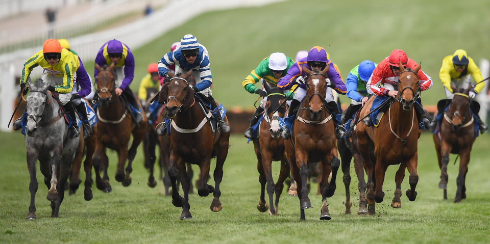 William Henry outbattled a competitive field to win the 2019 Coral Cup