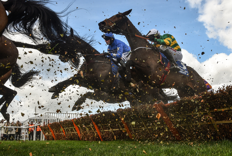 Sire Du Berlais jumps a flight in a Pertemps Final he won narrowly in 2019