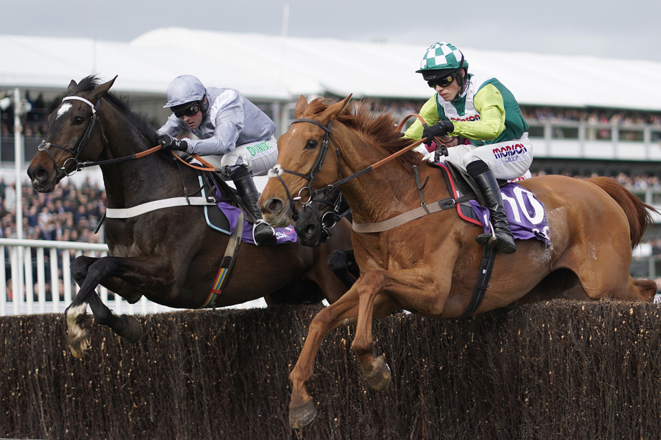 Second in the RSA last season, Santini can go one better in the Cheltenham Gold Cup in 2020.
