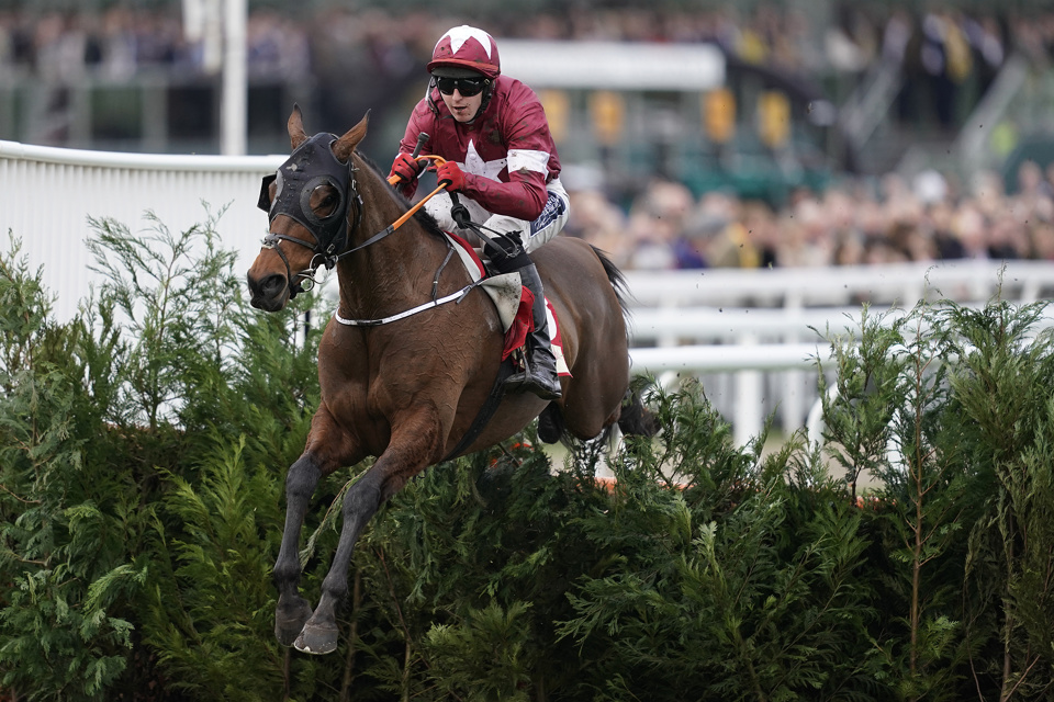 Tiger Roll bounded to an emphatic win in the 2019 Cross Country Chase