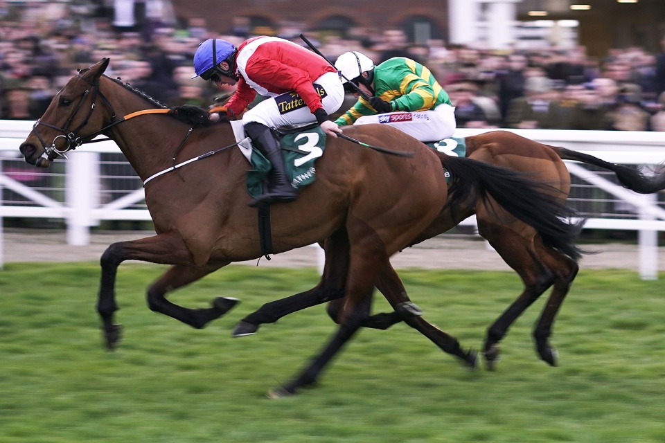 Envoi Allen was a fine winner of the 2019 Champion Bumper
