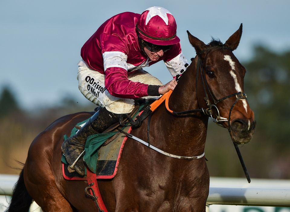 Supreme favourite Abacadabras is entered at Punchestown on Sunday