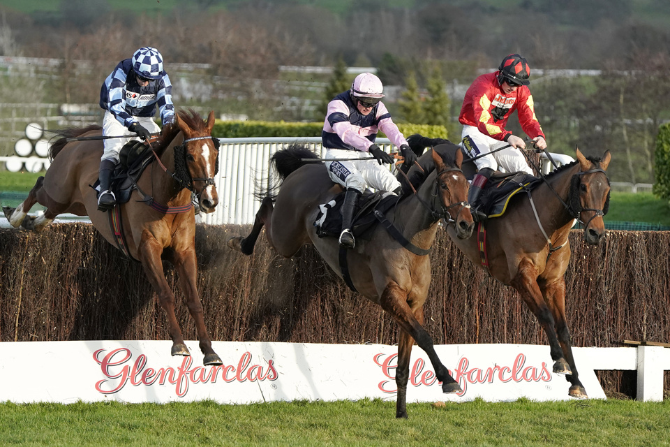 Cogry refused to be beaten at Cheltenham