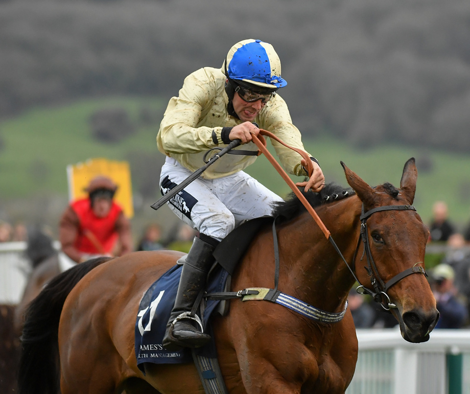 Hazel Hill won the 2019 Foxhunter Challenge Cup Hunters' Chase at the Cheltenham Festival.
