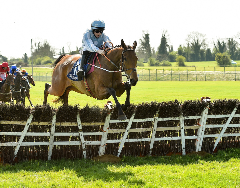 Honeysuckle was an emphatic winner of the 2019 renewal