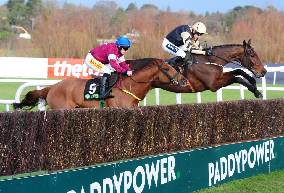 Leopardstown Runners Jump A Fence
