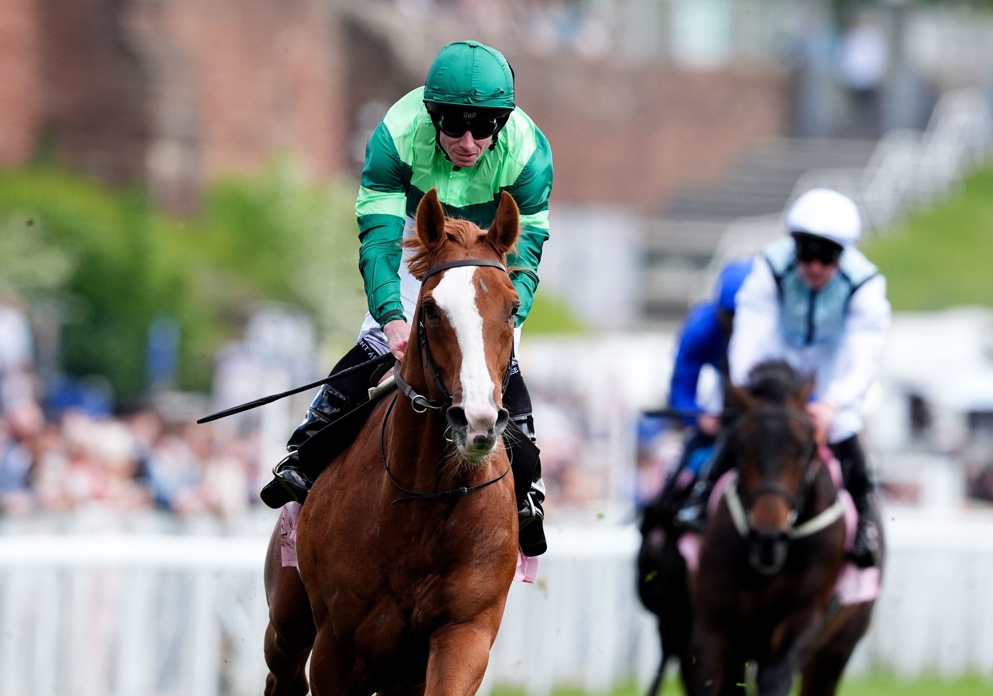 The beautiful Benvenuto Cellini looks to justify favouritism in The Derby at Epsom