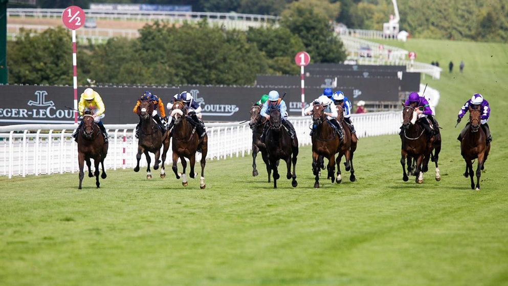 Glorious Goodwood is here!