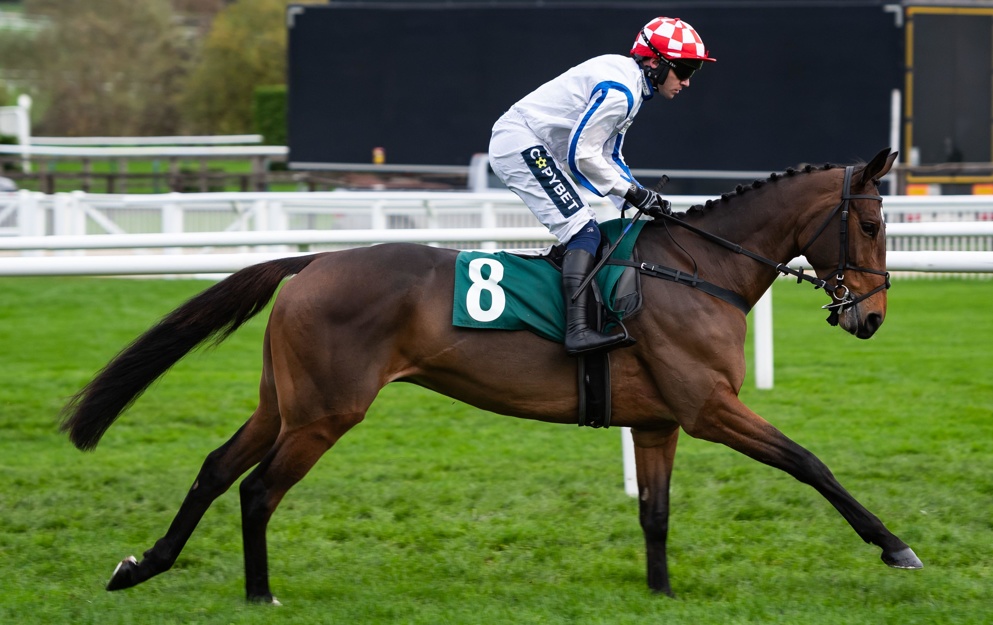 Kdeux Saint Fray has a leading chance in the Ladbrokes at Kempton