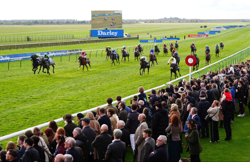The Cesarewitch sees a rematch of last year's controversial 1-2, Alphone Le Grande & Manxman