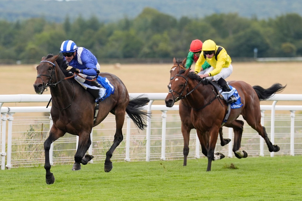 Al Aasy can win the Glorious Stakes for the third consecutive year