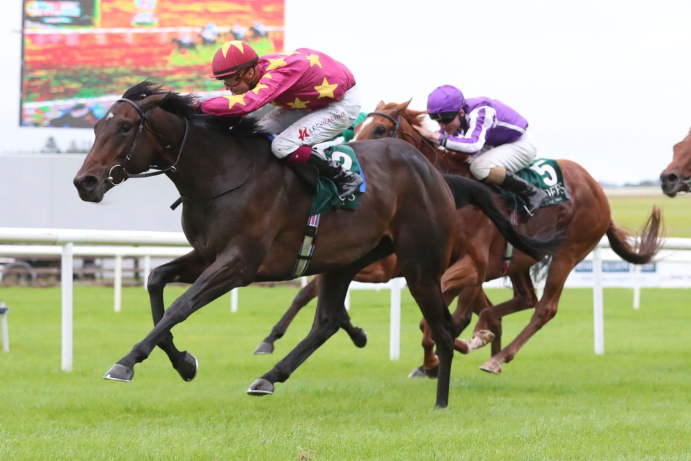 Is today the day for Joseph O'Brien's Al RIffa?