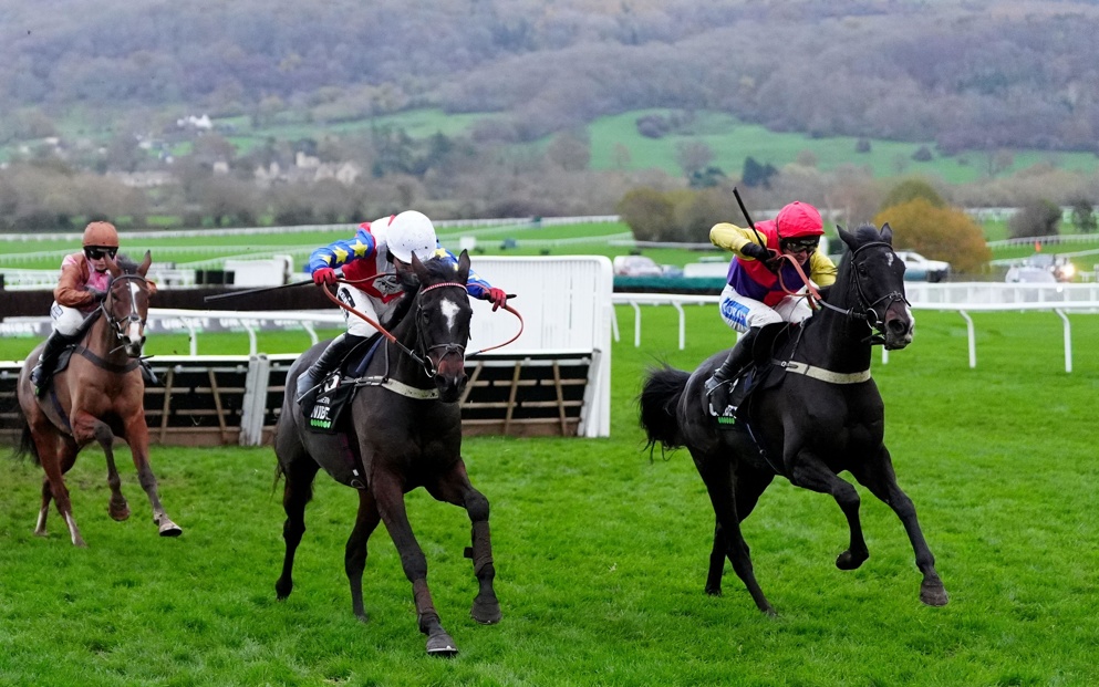 Alexei is a short priced favourite for the Kingwell Hurdle