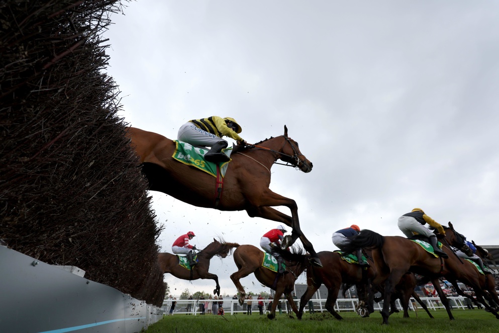 Amirite is amongst the antepost tips for the Galway Plate