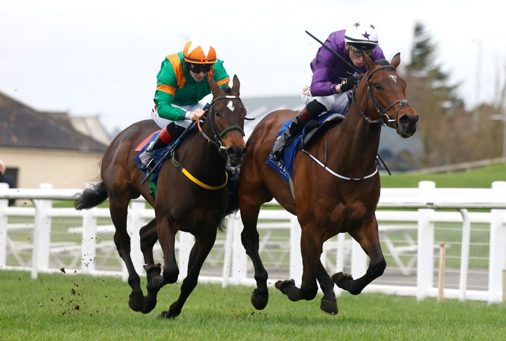 Adrian Murray's rapid ARIZONA BLAZE gets the vote for this season's Nunthorpe