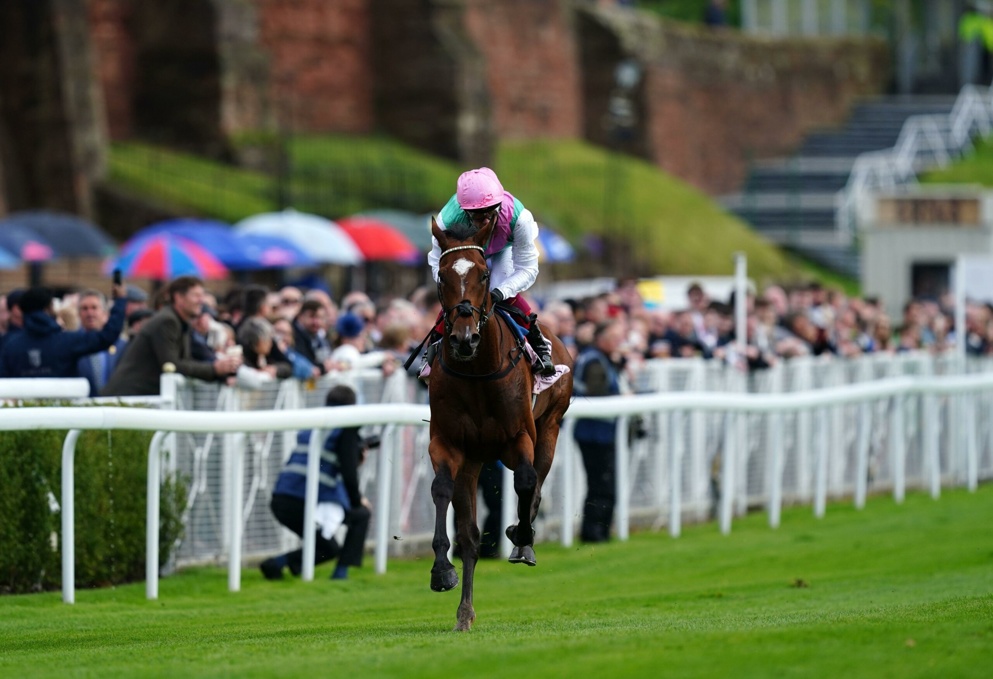 Will we see another star emerge at Chester on Friday?