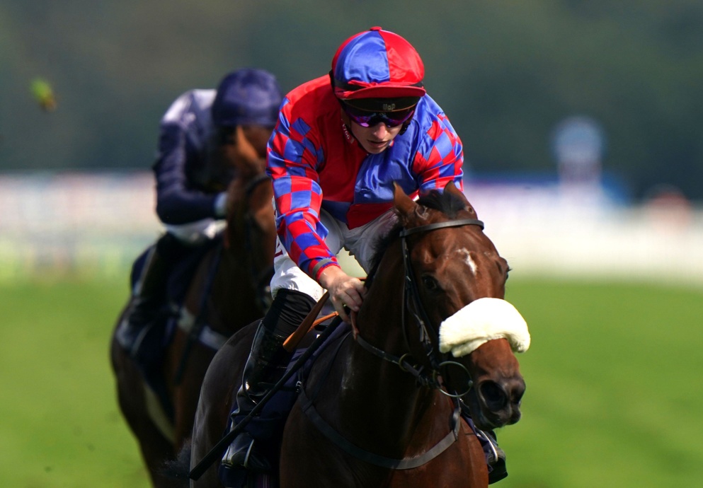 Can Big Mojo win at Haydock?