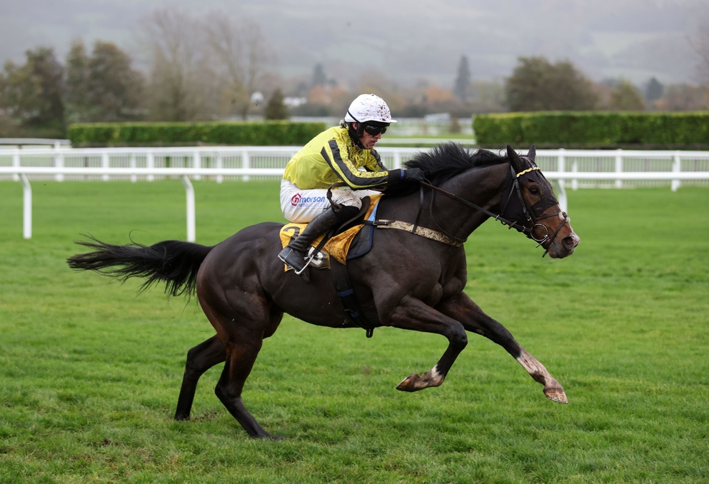 Burdett Road is odds-on for Saturday's Kingwell Hurdle