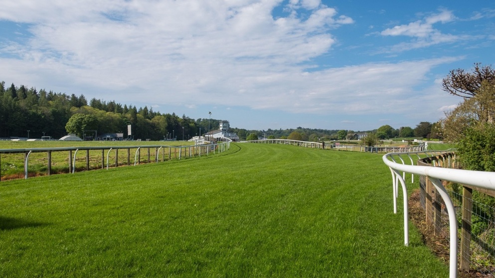 Cartmel hosts racing today