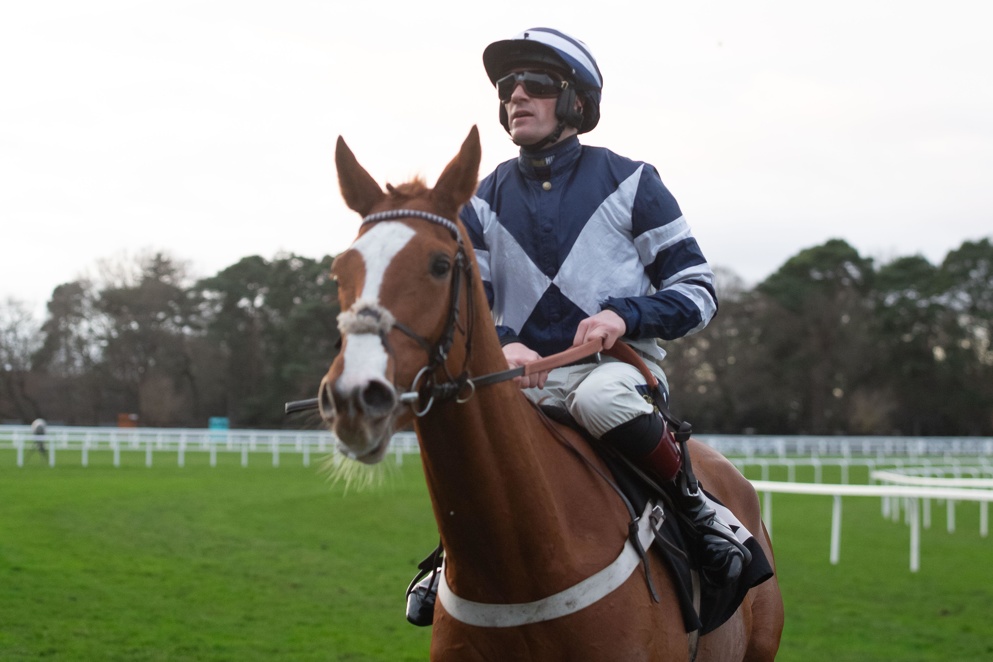 Celtic Dino certainly caught a fair few eyes on hurdles debut at Wincanton!