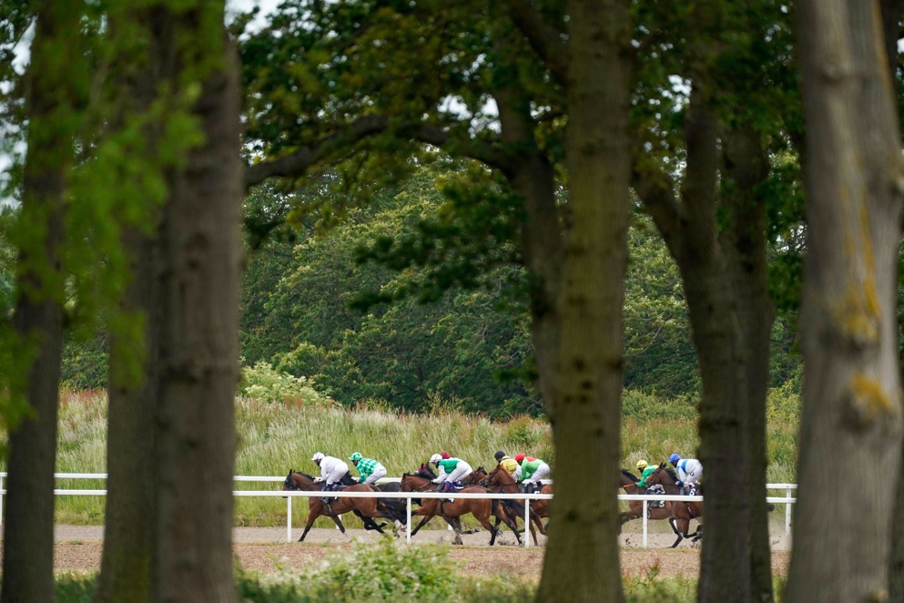 Chelmsford Runners