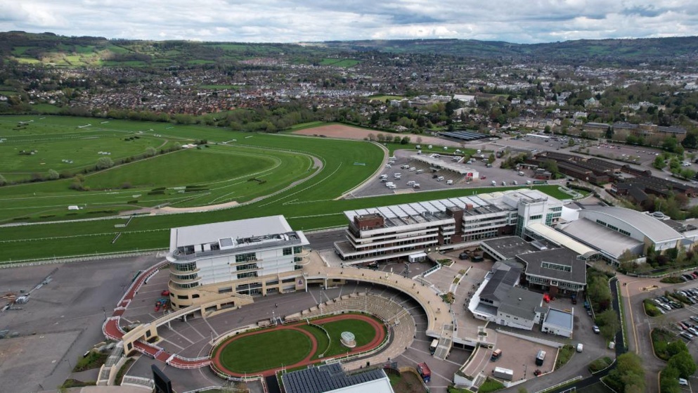 Who will reign supreme at Cheltenham on Saturday?