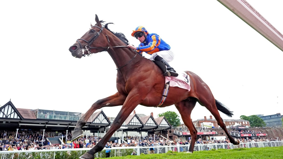 Will Constitution River justify Eclipse favouritism?