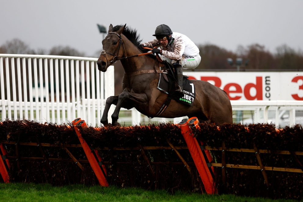 Can Constitution Hill bounce back to his best?
