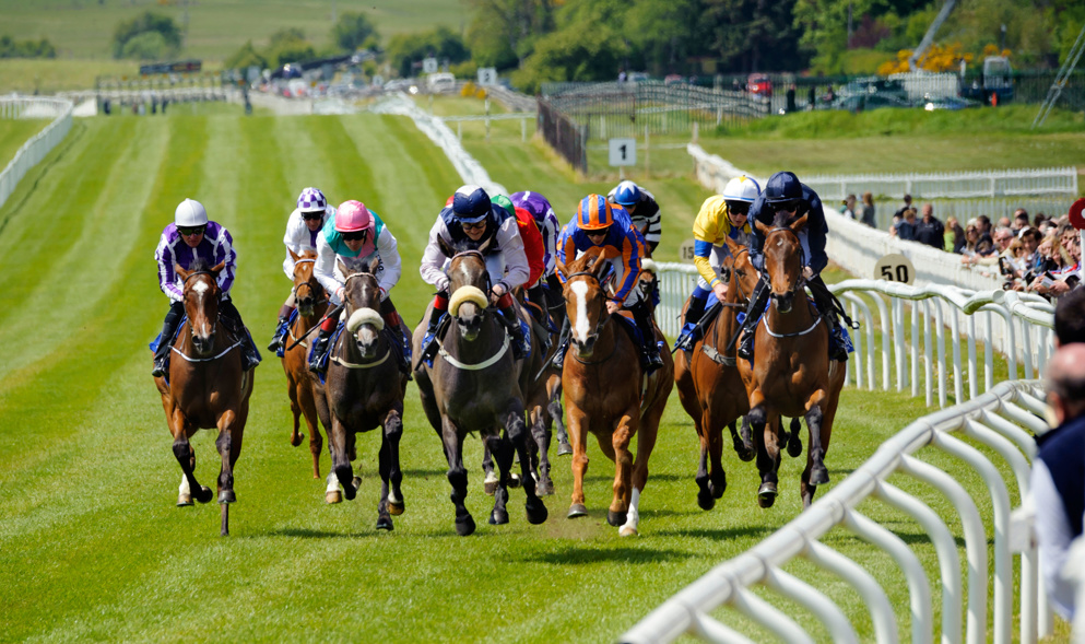 The Irish Oaks takes place on Saturday at the Curragh