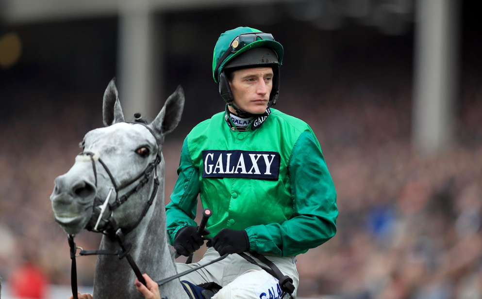 Daryl Jacob dons the double green today on the most popular Nap