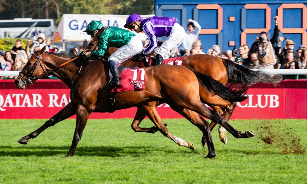 Daryz and Ombudsman will produce one of the clashes of the week in this race
