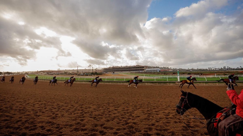 Del Mar plays host to the 2024 Breeders' Cup!