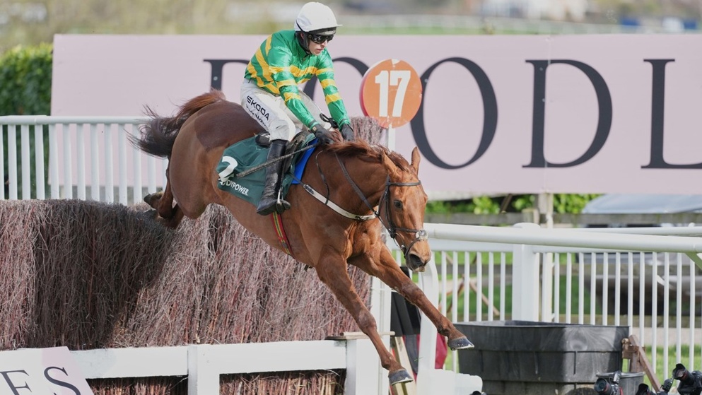 Dinoblue returns here to attempt the Cheltenham-Punchestown double for the second season in a row