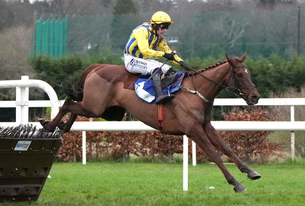 Doctor Steinberg looks to get back to winning ways after his loss in the Albert Bartlett