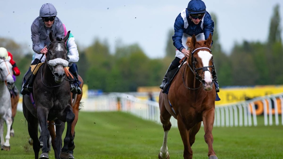 Economics and Calandagan face off at Ascot in a clash for the ages!