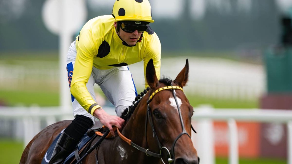 Elite Status is one to watch on Saturday