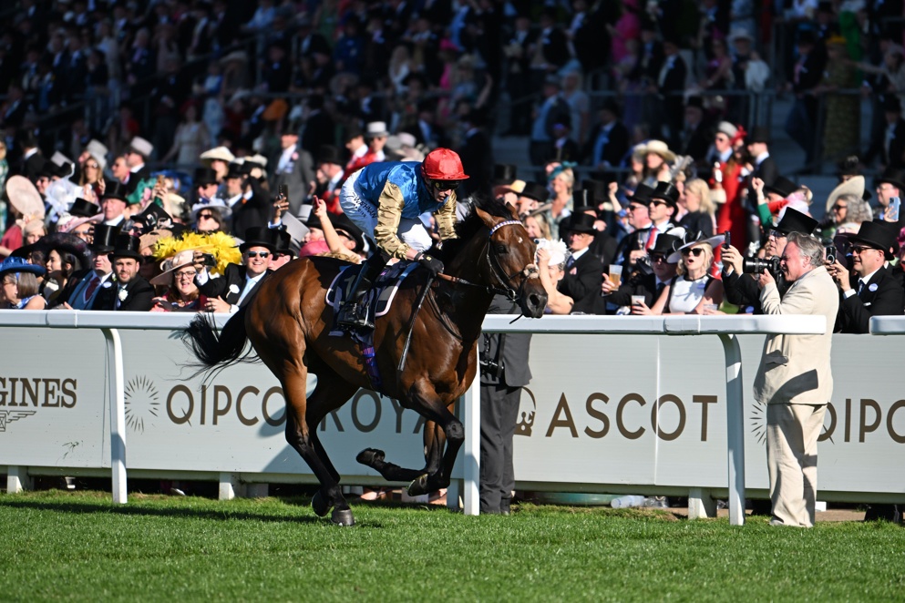 Can English Oak add a Glorious Goodwood win to his Royal Ascot success?