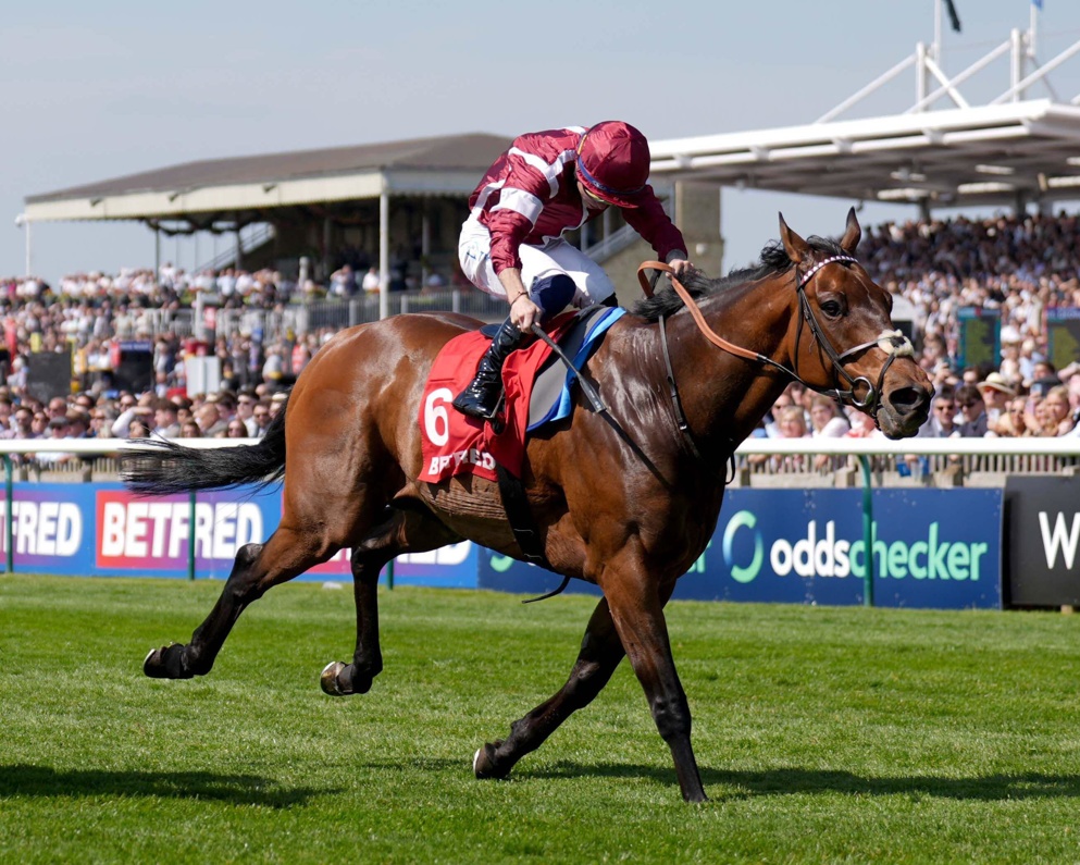 The Cambridgeshire is the big betting race of the day this weekend