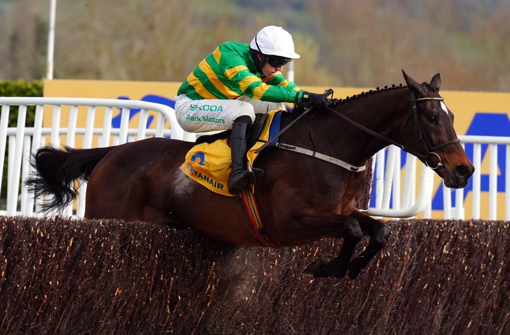 Which firms have begun offering NRNB for the 2025 Cheltenham Festival?