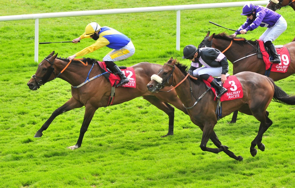 Galway Begins Today!