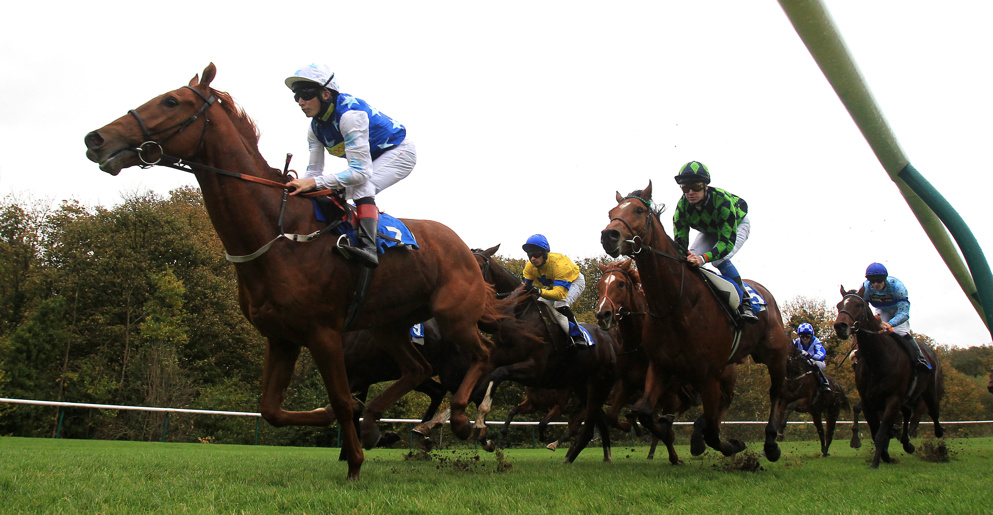 Nottingham hosts flat action this afternoon