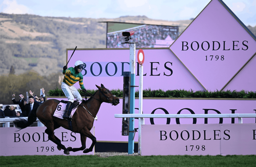 Inothewayurthinkin won the 2025 Cheltenham Gold Cup