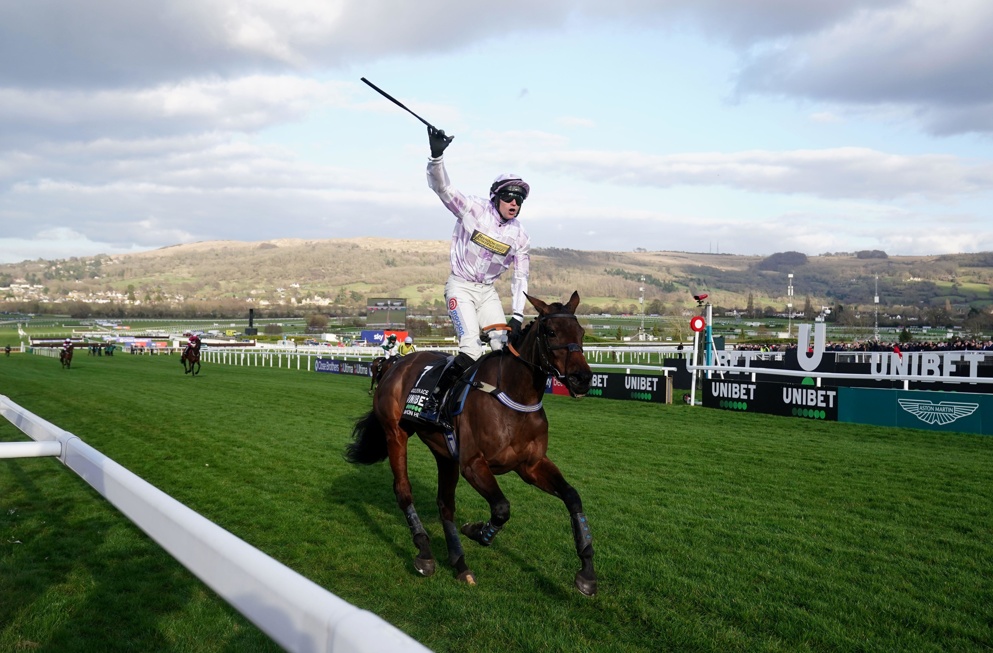 Golden Ace won the Champion Hurdle on day 1 of last year's Festival